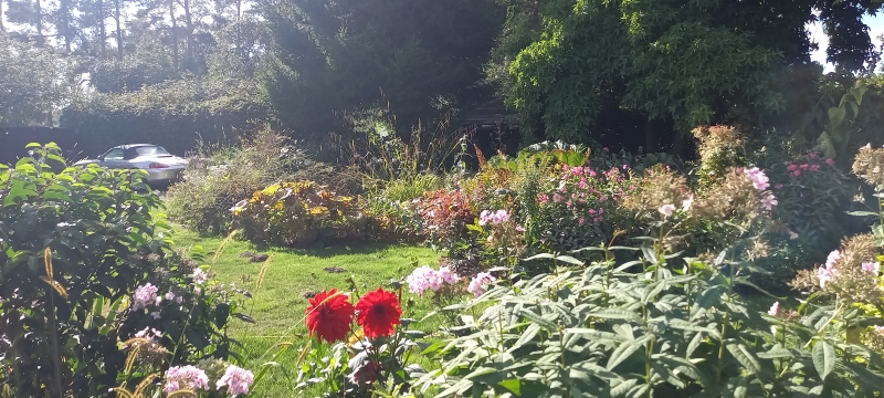 Cobweb Cottage